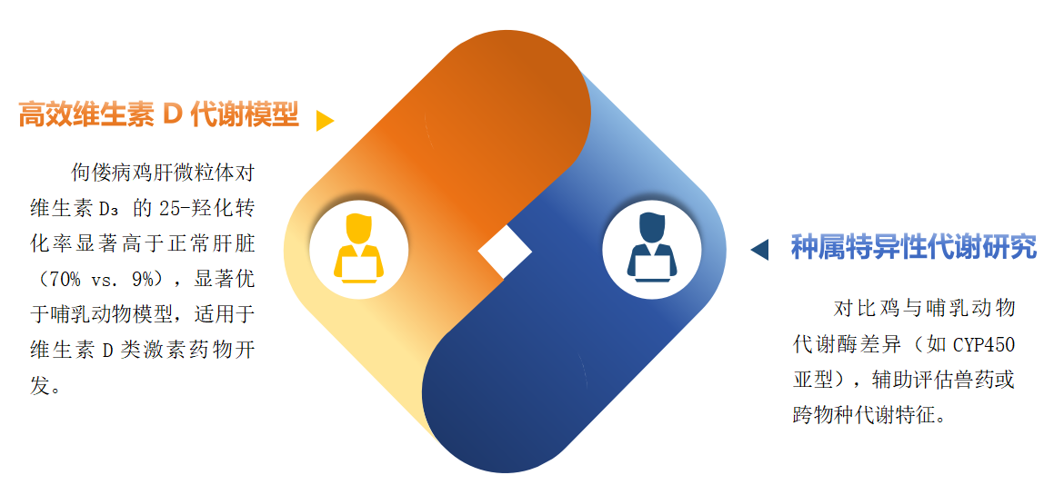 鸡肝微粒体 2.png