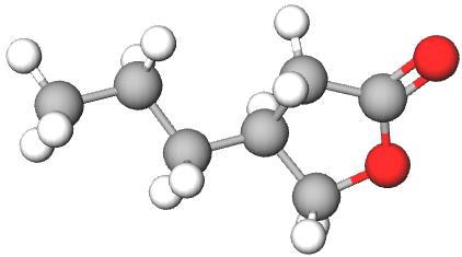 布瓦西坦中间体1的合成关键性突破