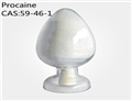 Procaine powder on sale