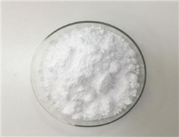 6-Aminopenicillanic acid