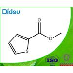 METHYL THIOPHENE-2-CARBOXYLATE  pictures