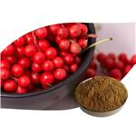 Schisandrin a or b 1%