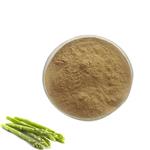 Asparagoides 4% UV; 20: 1 pictures