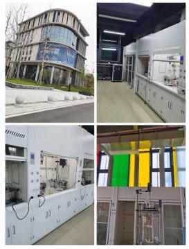 Article illustration