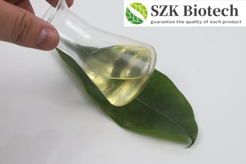 Article illustration