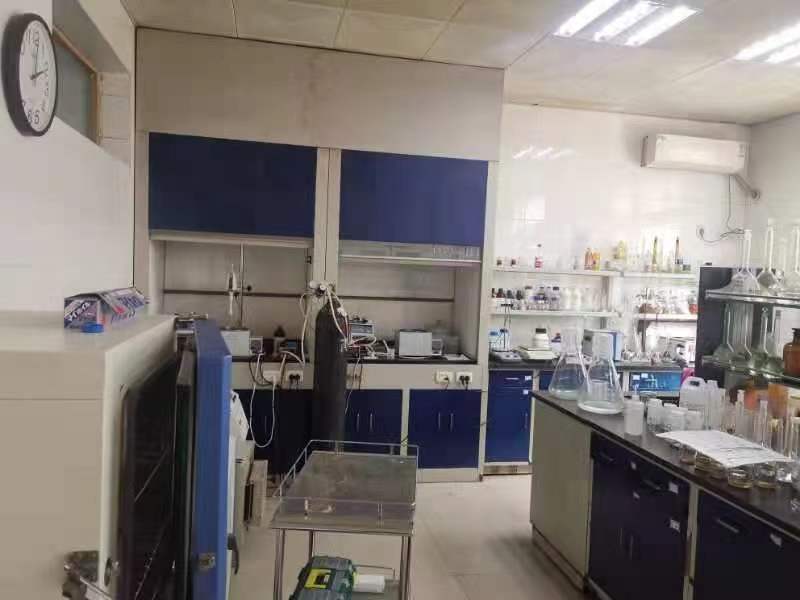 Article illustration