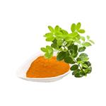 528-48-3 Fisetin Extract