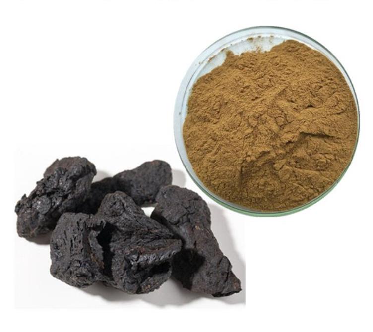 Article illustration