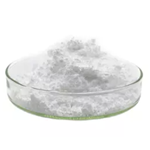 Leuconostoc Mesenteroides pictures