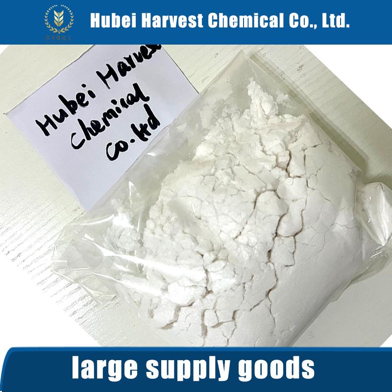 Article illustration