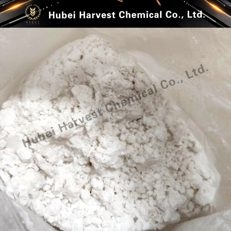 Article illustration