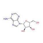 Adenosine