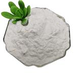Dimethocaine