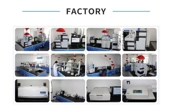 Article illustration