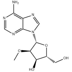 2'-O-Methyladenosine