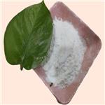 Lidocaine HCl