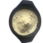 Ampicillin pictures