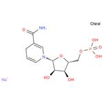 108347-85-9 β-Nicotinamide mononucleotide；reduced form