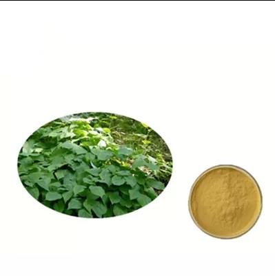 Article illustration