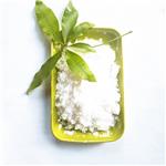 7787-32-8 Barium fluoride