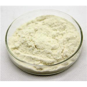 7-Amino-3-chloro cephalosporanic acid