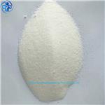 SODIUM ETHYL-P-HYDROXYBENZOATE