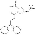 Fmoc-L-Hyp(tbu)-OH pictures