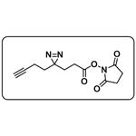 Alkyne-Diazirine-NHS ester