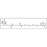 Biotin-LC-PEG4-NHS ester pictures