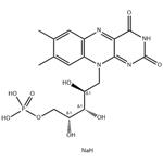 	Riboflavin 5'-Monophosphate Sodium Salt