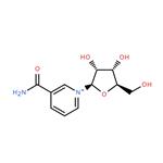 23111-00-4 Nicotinamide riboside chloride
