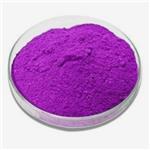 Everlasting purple pictures