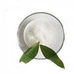 101-41-7 Methyl phenylacetate