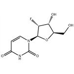 2'-Deoxy-2'-fluorouridine pictures