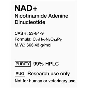 NAD+ 500MG/1000MG