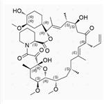  Tacrolimus Impurity 29