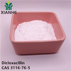 Dicloxacillin