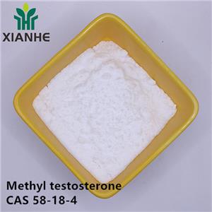 Methyl testosterone