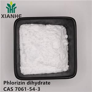 Phlorizin dihydrate