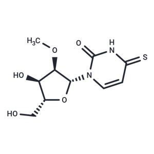 2'-O-Methyl-4-thiouridine