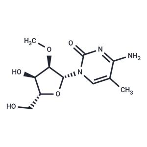 2'-O-Methyl-5-methylcytidine