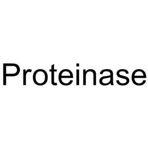 Proteinase