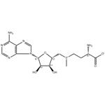 S-Adenosyl-L-methionine