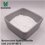 Benzocaine hydrochloride