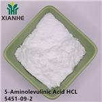 5451-09-2 5-Aminolevulinic Acid HCL