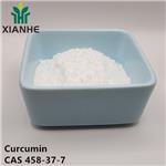 458-37-7 Curcumin