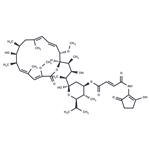Bafilomycin B1