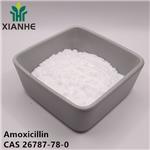 26787-78-0 Amoxicillin