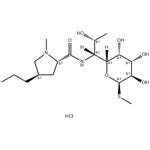 Lincomycin hydrochloride