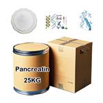 Pancreatin pictures